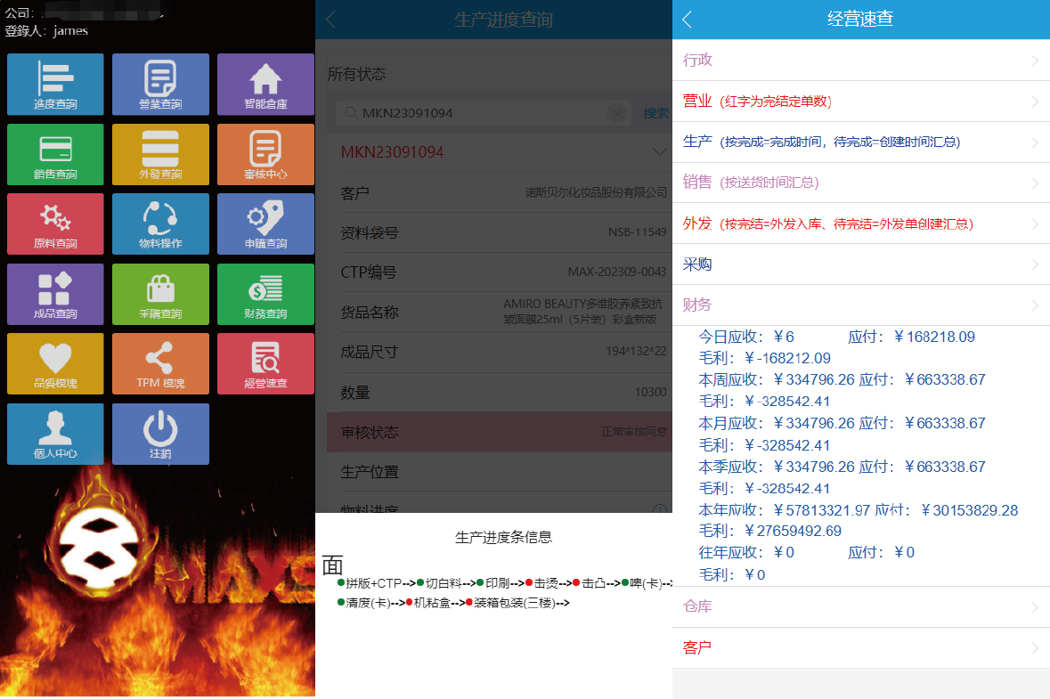 ERP 系統 圖片